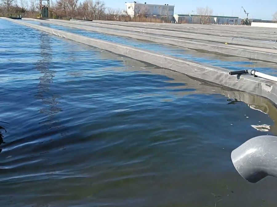 Bassin équipé d’une roue à aubes